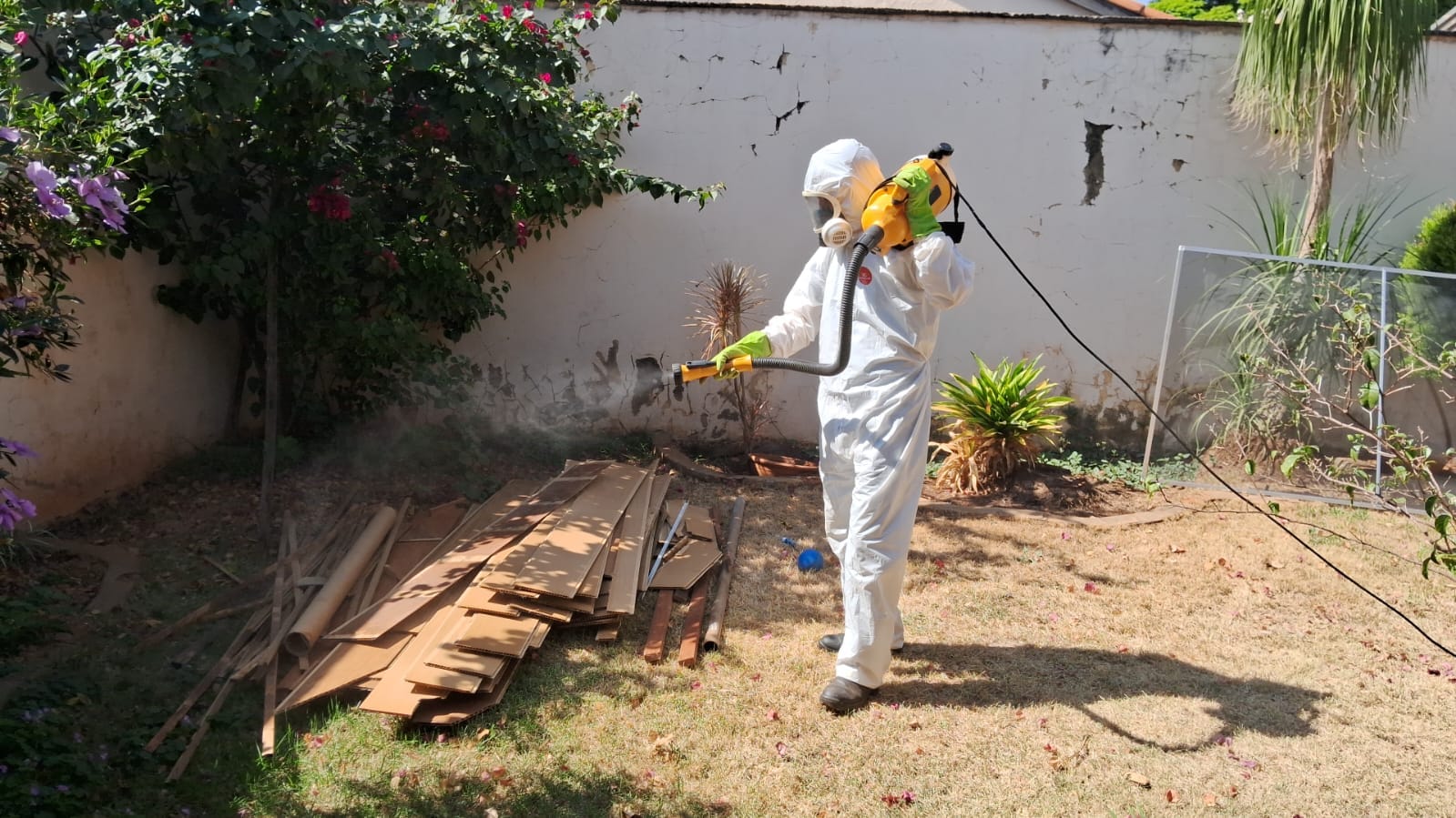 Dedetização em área externa